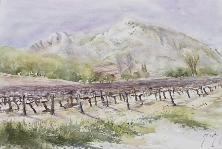 Vignobles à Mouries